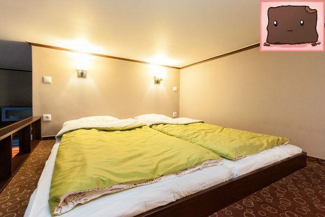 בודפשט E47 Eotvos Apartment מראה חיצוני תמונה